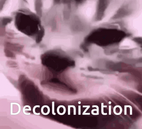 a white and black cat sitting in front of a window with the text decolonation on it