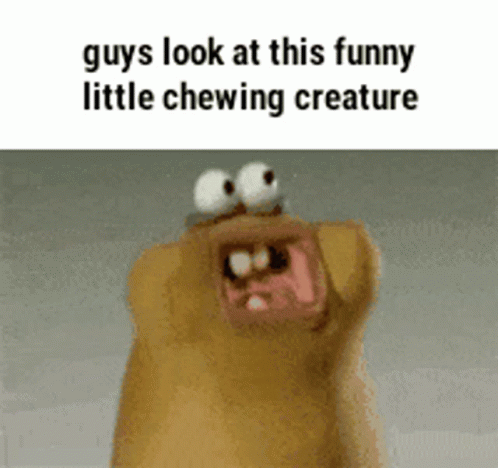 a meme with an image of an animal that is funny and angry