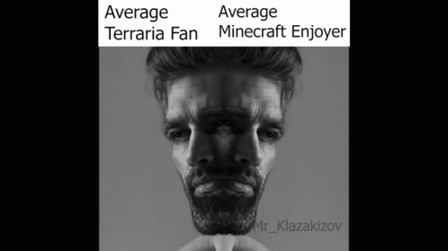 the cover art for an album titled average terraria fan minecraft enyor