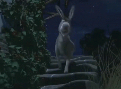 an image of a rabbit coming down the stairs