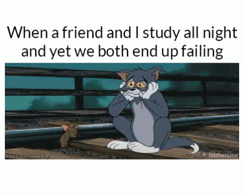 a cartoon cat is standing up, saying when a friend and i study all night and yet we both up falling