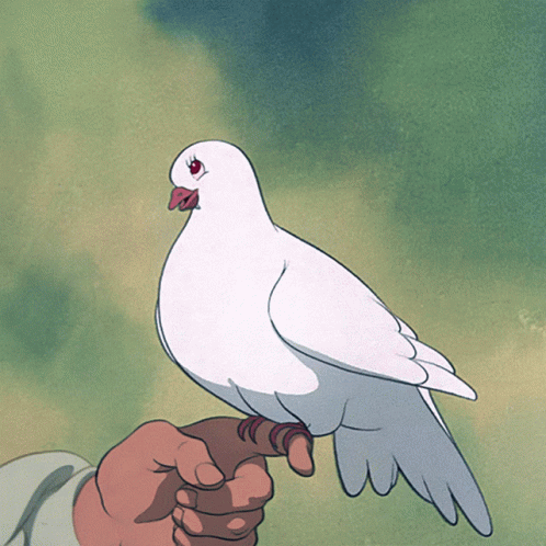a white bird with blue feet and big wings perched on the palm of a person's hand