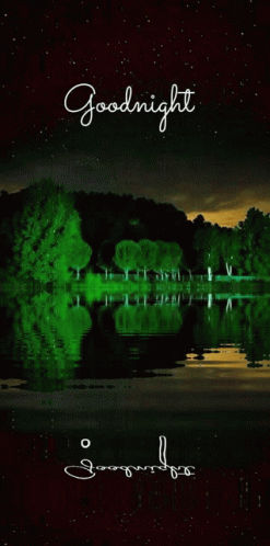 a body of water with trees under a full moon
