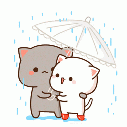 two cats are standing together under a white umbrella