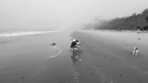 a person walking down the beach with two dogs