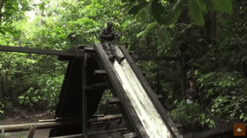 there is a slide in the forest that's falling