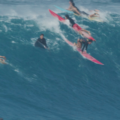 group of people surfing waves on surfboards on an ocean