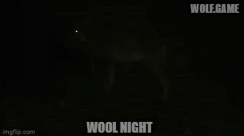 some type of strange dark space and with text reading wool night
