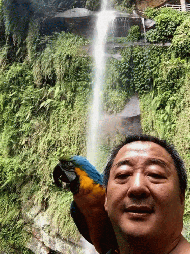 a man holding a blue parrot in front of a waterfall
