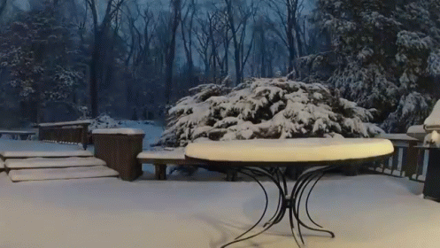 a snowy patio in the middle of winter