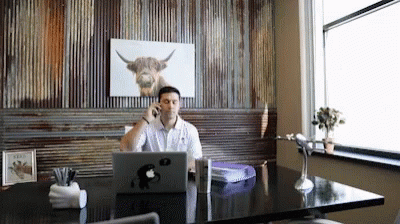 a man sits at his computer in an office with a bull wallpaper