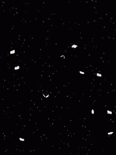 black and white space and stars seen in the night sky