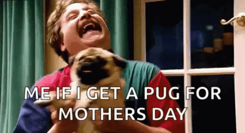 a person with an evil dog and the text, me if get a pug for mother's day