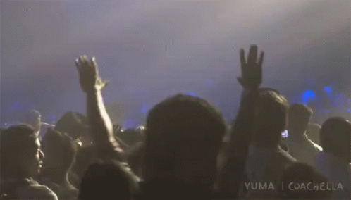 a crowd of people with their hands raised at a concert