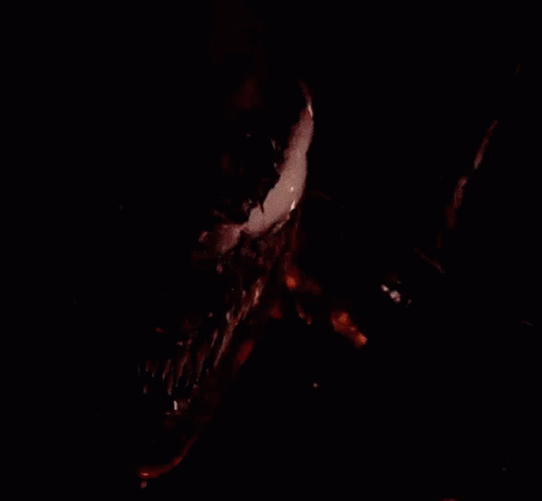 a dark image of the top end of a skull