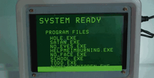 the machine with the program for a system is in use