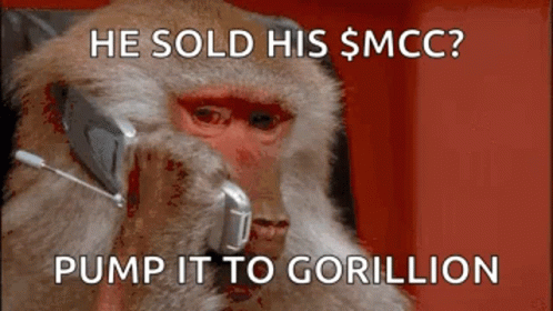 the monkey is on the phone and he sold his sncc?