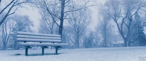 a lone bench with snow in a park