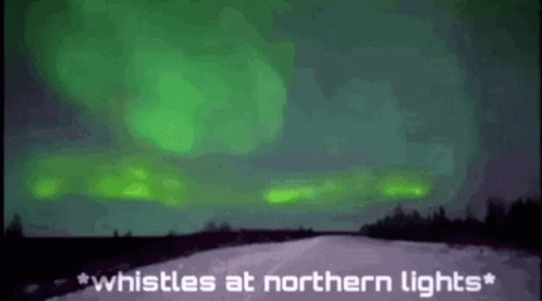 green northern lights in the sky over a road