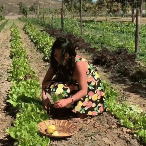 a woman kneeling in an area with vegetables