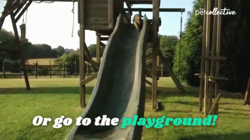 there is an image of a playground with swings