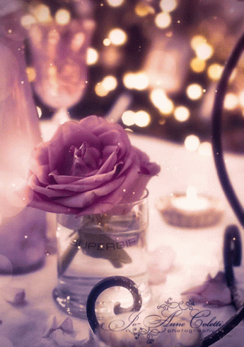 a pink rose in a jar at a wedding