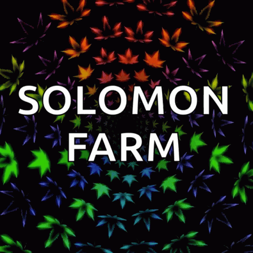 the words solomon farm are displayed above the green stars