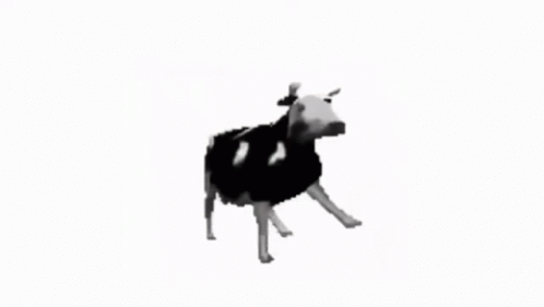 a cow is seen standing up in the air