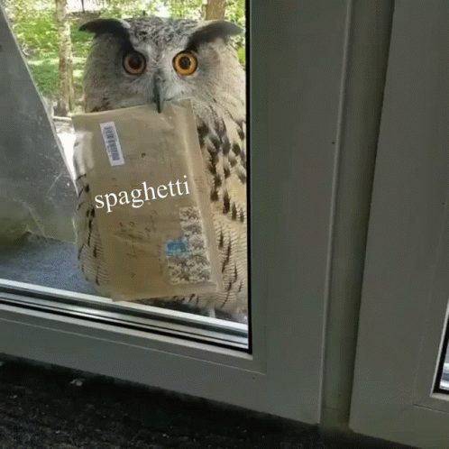 an owl holding a bag that says spaghettii