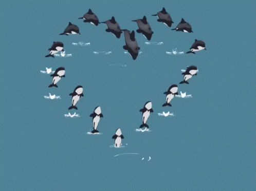 a flock of birds floating in a heart shaped shape