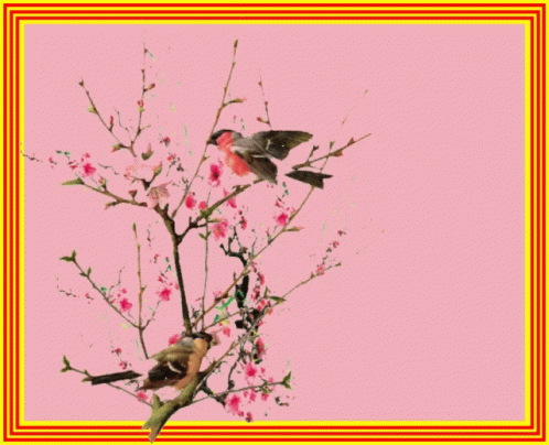 birds perched on top of the bare nches of a flower tree