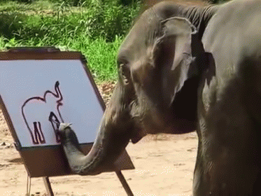 an elephant painting on a white canvas next to a grassy field