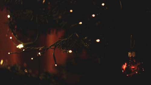 a night scene with christmas lights around the tree
