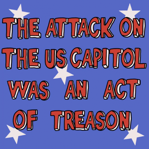 a poster with words that read, the attack on the us capitol was an act of treason
