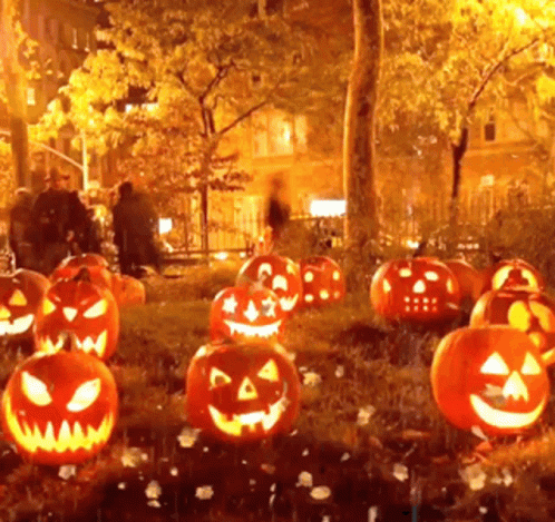 a group of pumpkins lit up in a garden