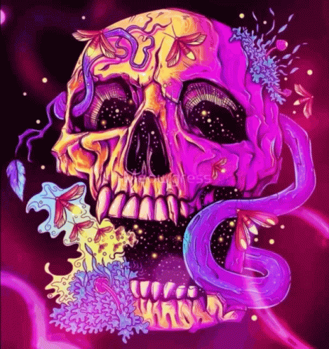a drawing of a skull with colorful, psychedelic designs on its face