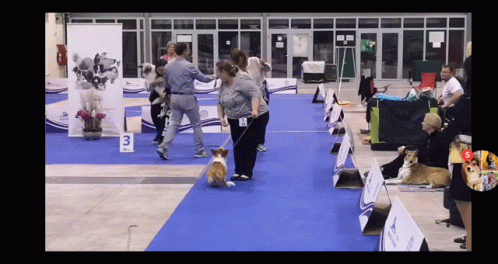 two people are walking along the carpet of an indoor event