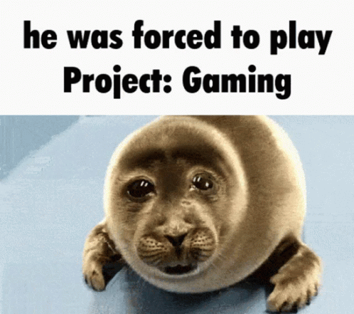 the monkey is showing his intent to play the project