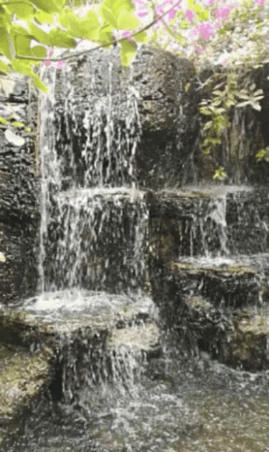 a waterfall cascade has purple flowers and leaves on it