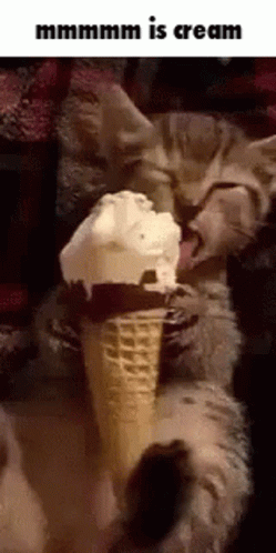 an ice cream cone with a cat laying down behind it
