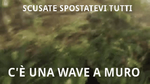a black cat sits on a hill with the words'seu la nua wave'in a language like'susuate spostae