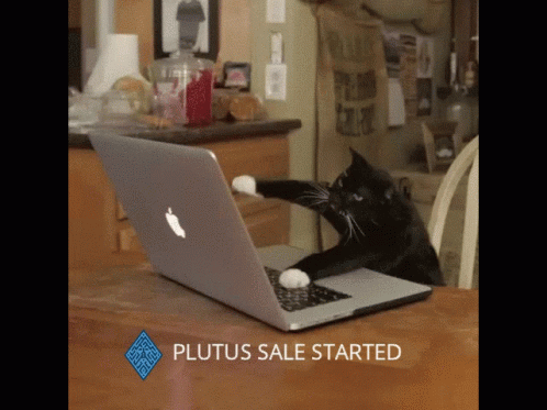 a cat is playing on a laptop on a table