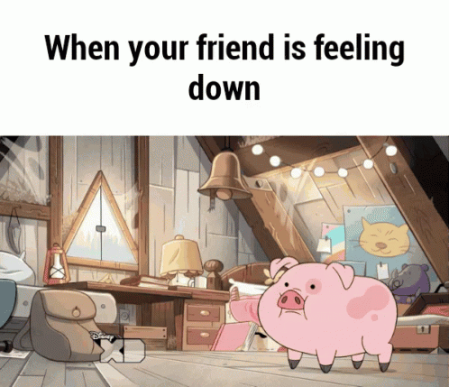 an image of a pig standing in a room with the caption of the saying, when your friend is feeling down
