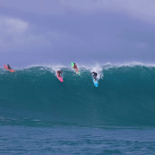 people on surfboards surfing in an ocean