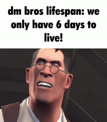 an old picture with text overlaid that says, dm bros lifepan we only have 6 days to live