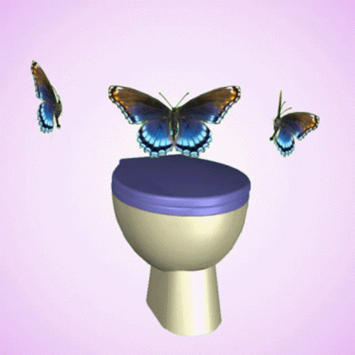a toilet that has erflies flying on it