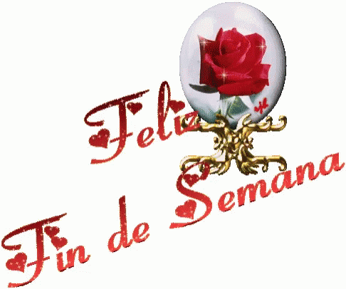 a blue rose and the word fio de sema