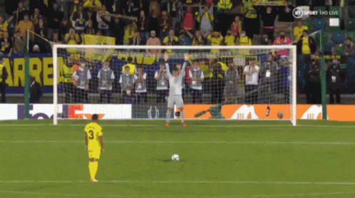a professional soccer player attempts to block the goal