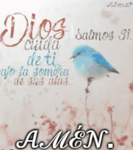 the song from the movie rios ciliddi, written with a bird on a postcard