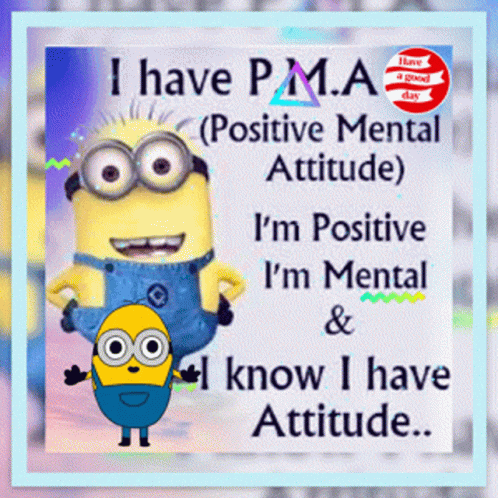 the quote for i have pma positive mental attitude i'm positive and i'm mental & know i have attitude